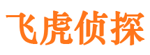 郯城市调查公司